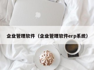 企业管理软件（企业管理软件erp系统）