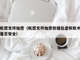 机密文件加密（机密文件加密存储在虚拟机中是否安全）