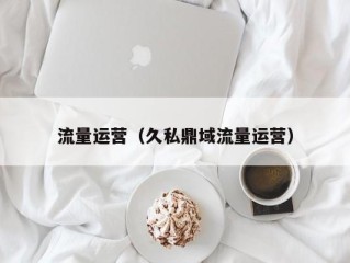 流量运营（久私鼎域流量运营）